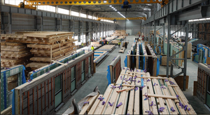 Modern production with a capacity more than 50,000 m2 per year